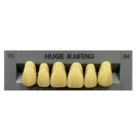 Anterior Kaifeng B4-T5