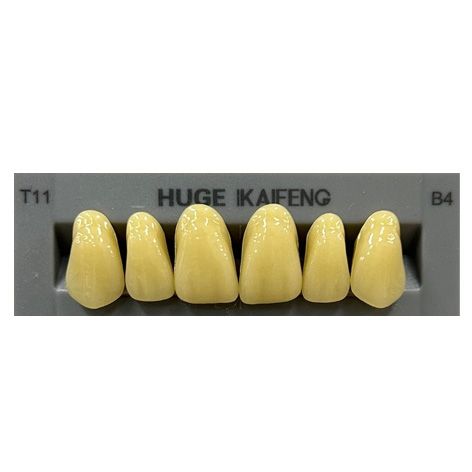Anterior Kaifeng B4-T11