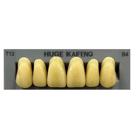 Anterior Kaifeng B4-T12