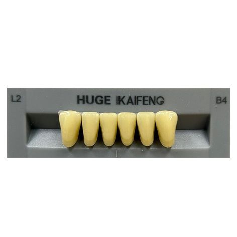 Anterior Kaifeng B4-L2