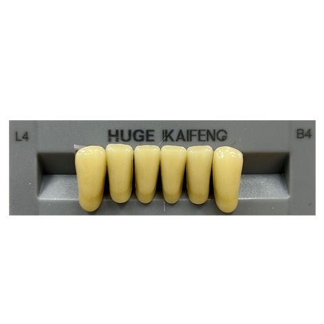 Anterior Kaifeng B4-L4