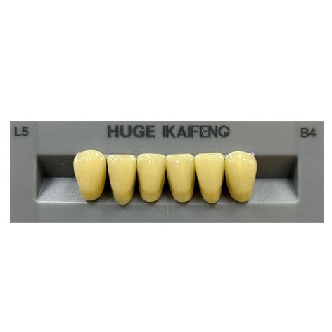Anterior Kaifeng B4-L5