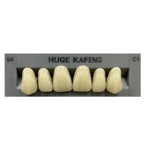 Anterior Kaifeng C1-S4