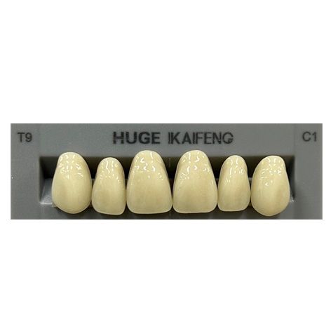 Anterior Kaifeng C1-T9