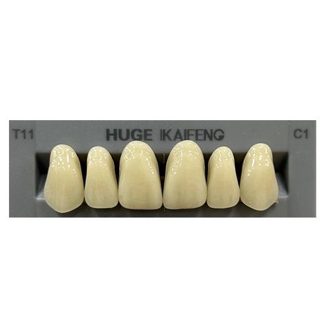 Anterior Kaifeng C1-T11