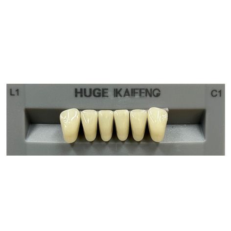Kaifeng Shade C1 Anterior
