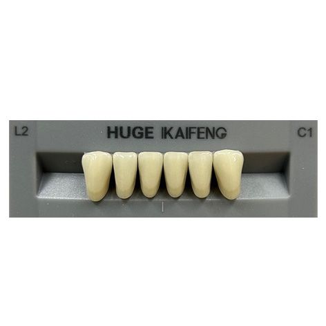 Anterior Kaifeng C1-L2