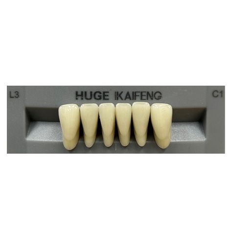 Anterior Kaifeng C1-L3