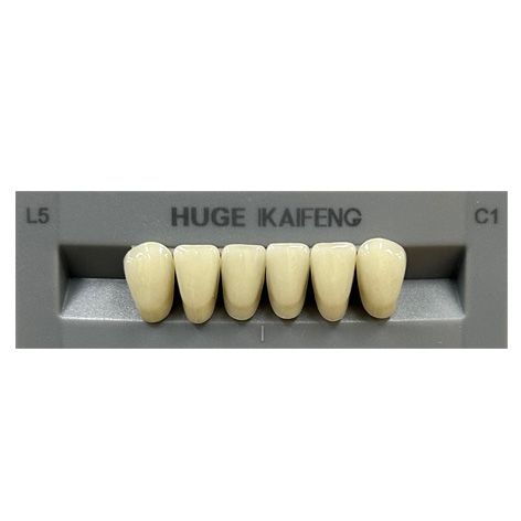 Anterior Kaifeng C1-L5