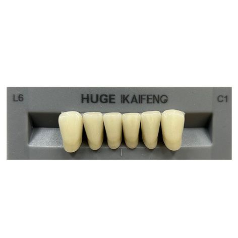 Anterior Kaifeng C1-L6