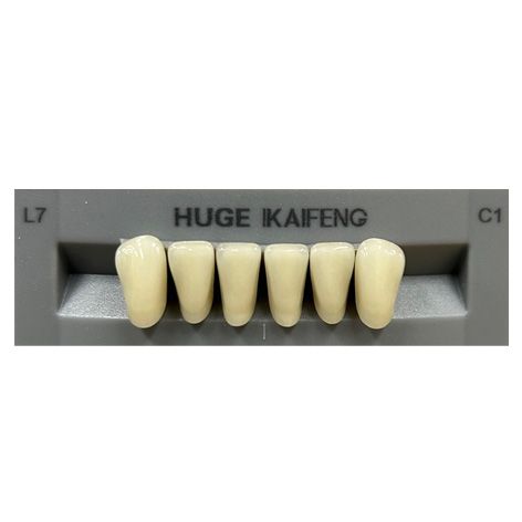 Anterior Kaifeng C1-L7