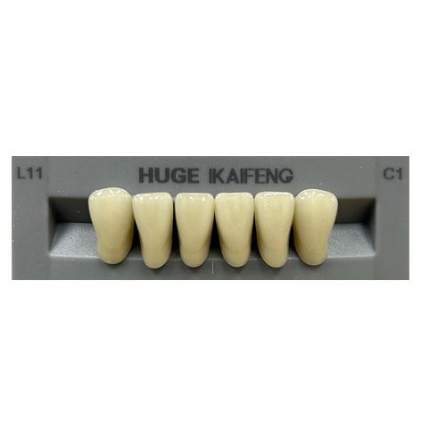 Anterior Kaifeng C1-L11