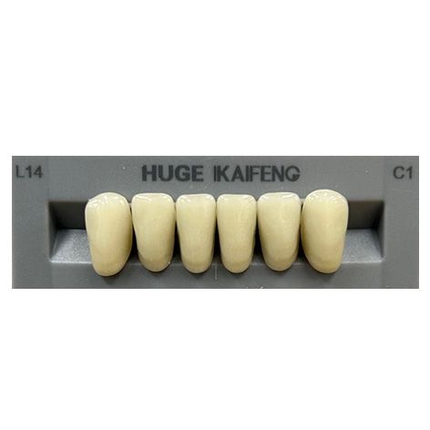 Anterior Kaifeng C1-L14