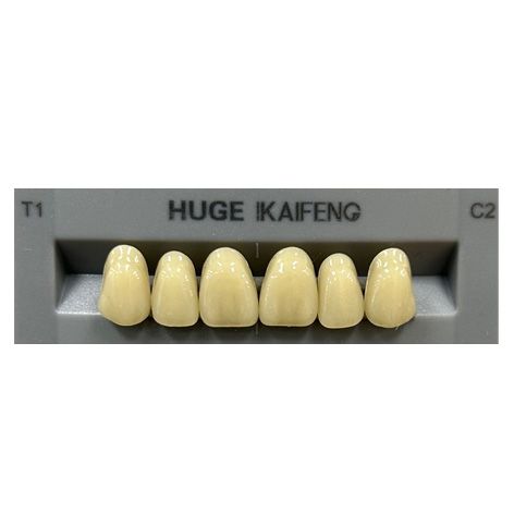 Anterior Kaifeng C2-T1