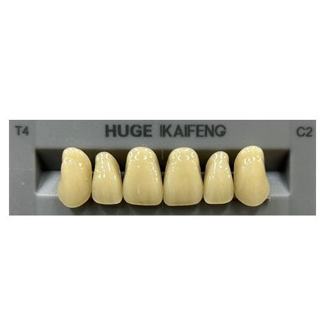Anterior Kaifeng C2-T4