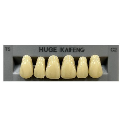 Anterior Kaifeng C2-T5