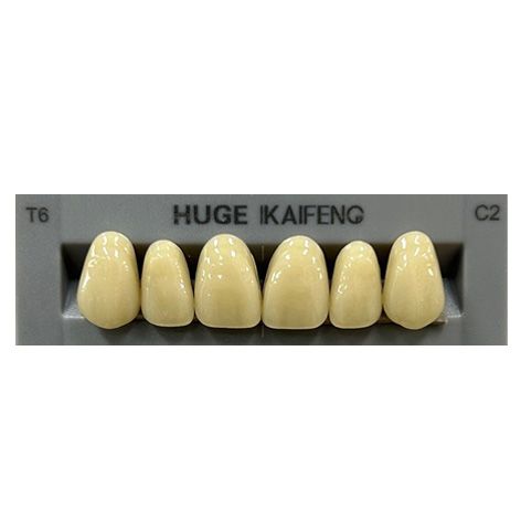 Anterior Kaifeng C2-T6