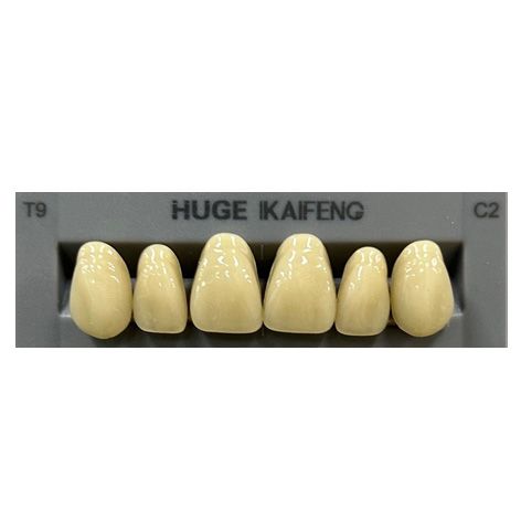 Anterior Kaifeng C2-T9