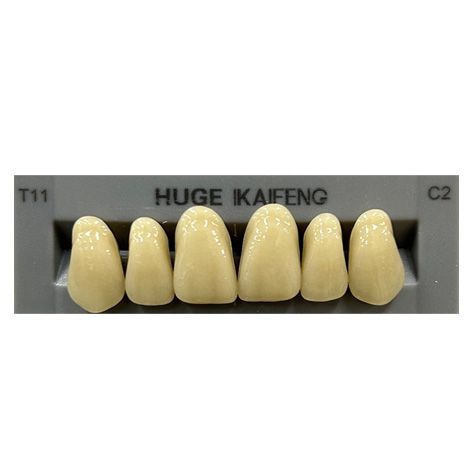 Anterior Kaifeng C2-T11