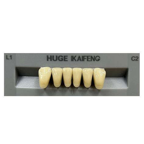 Kaifeng Shade C2 Anterior
