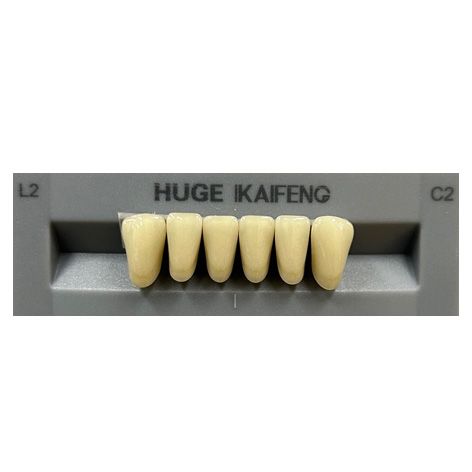 Anterior Kaifeng C2-L2