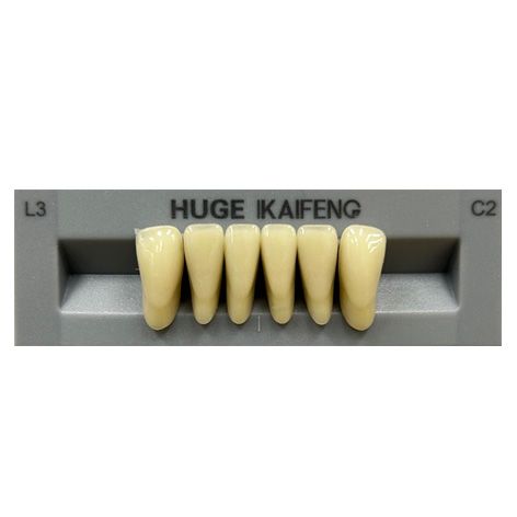 Anterior Kaifeng C2-L3