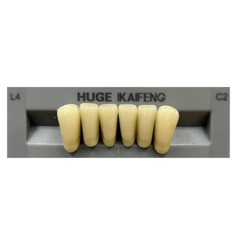 Anterior Kaifeng C2-L4