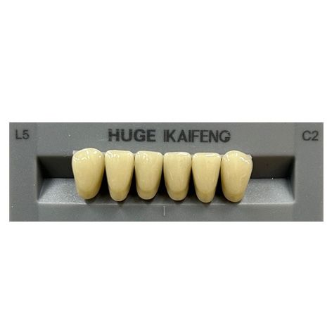 Anterior Kaifeng C2-L5