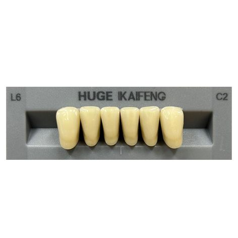Anterior Kaifeng C2-L6