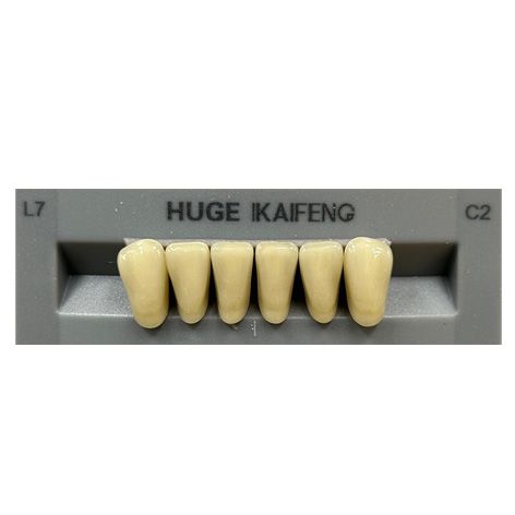 Anterior Kaifeng C2-L7