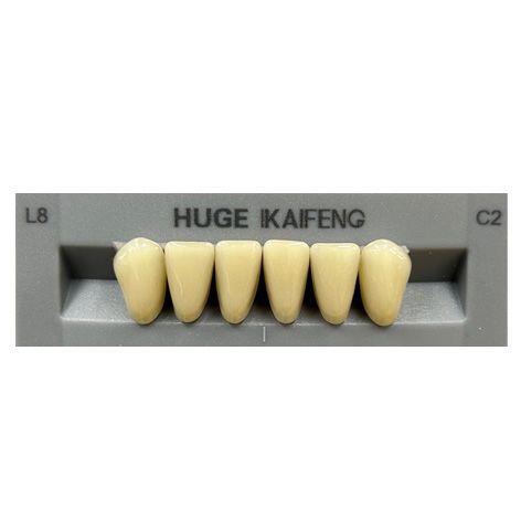 Anterior Kaifeng C2-L8