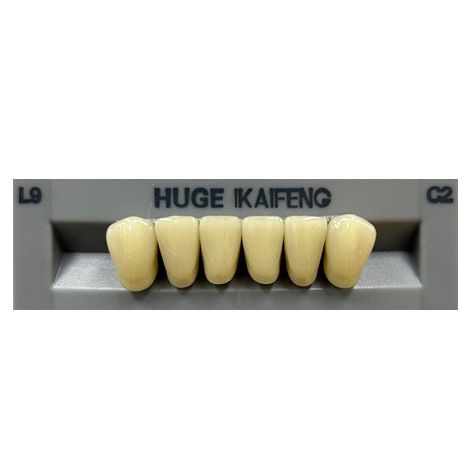 Anterior Kaifeng C2-L9