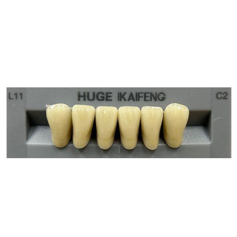 Anterior Kaifeng C2-L11