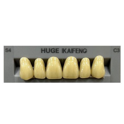 Anterior Kaifeng C3-S4