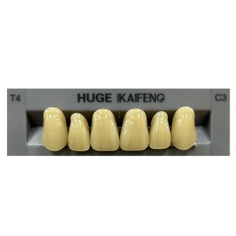 Anterior Kaifeng C3-T4