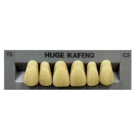Anterior Kaifeng C3-T5