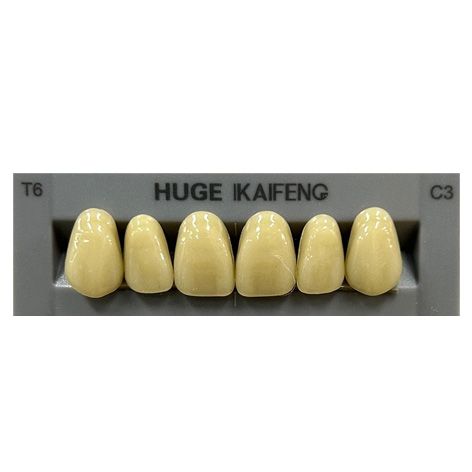 Anterior Kaifeng C3-T6