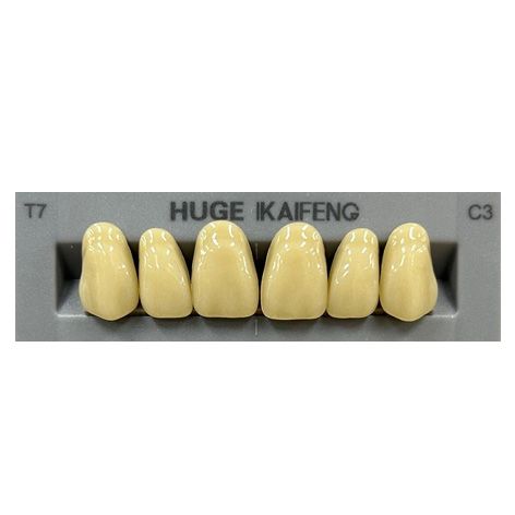 Anterior Kaifeng C3-T7