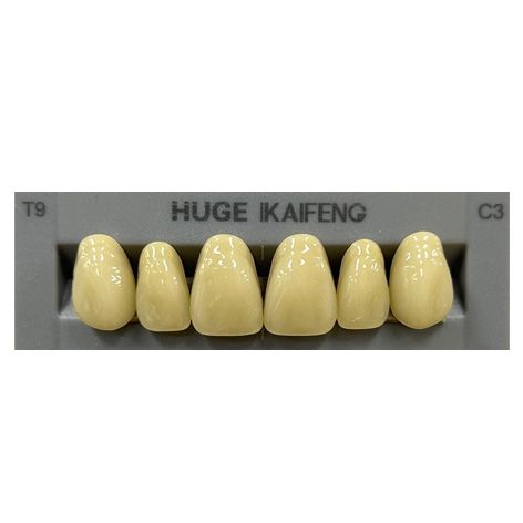 Anterior Kaifeng C3-T9