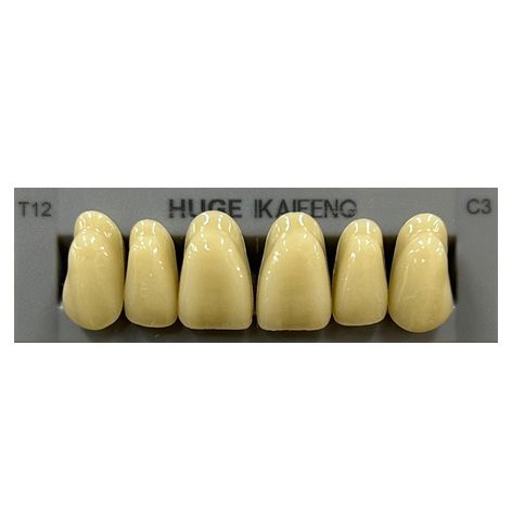 Anterior Kaifeng C3-T12