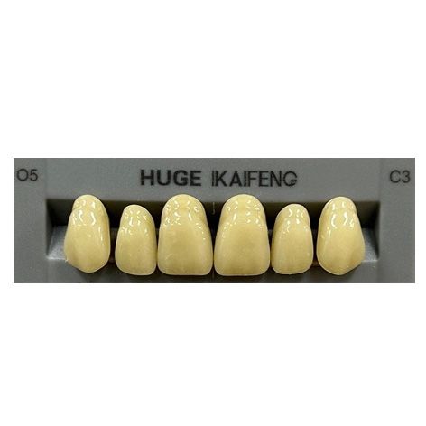 Anterior Kaifeng C3-O5