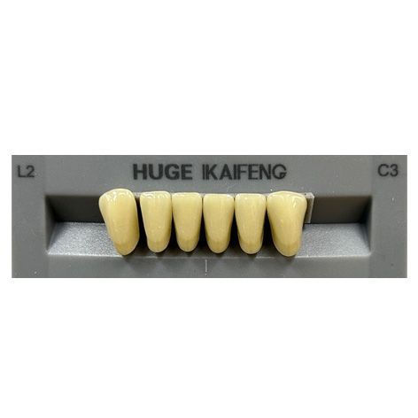 Anterior Kaifeng C3-L2