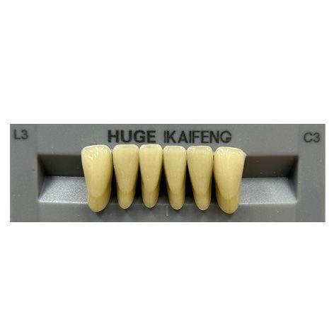 Anterior Kaifeng C3-L3