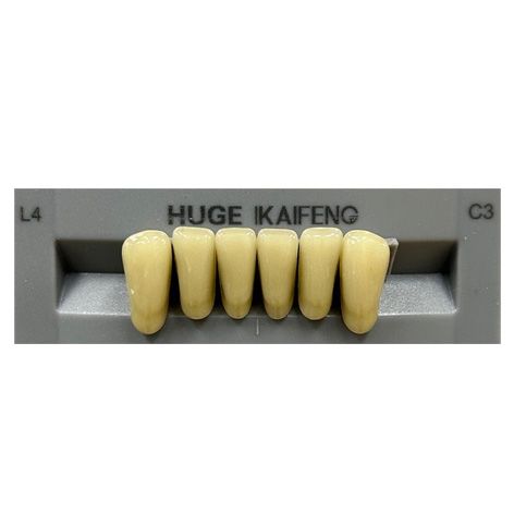 Anterior Kaifeng C3-L4