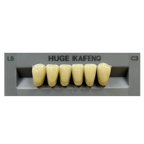 Anterior Kaifeng C3-L5