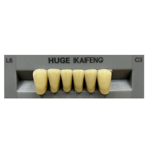 Anterior Kaifeng C3-L6
