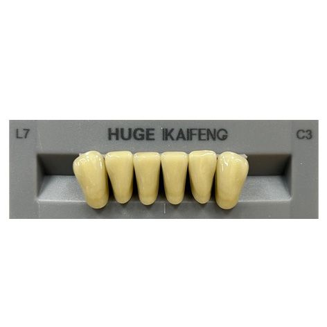 Anterior Kaifeng C3-L7