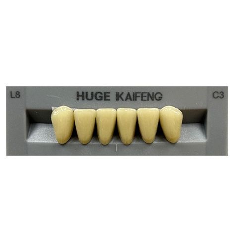 Anterior Kaifeng C3-L8