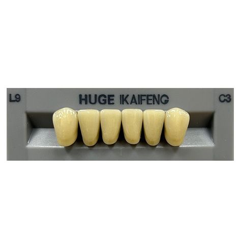 Anterior Kaifeng C3-L9