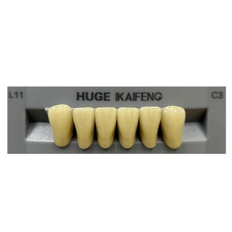 Anterior Kaifeng C3-L11